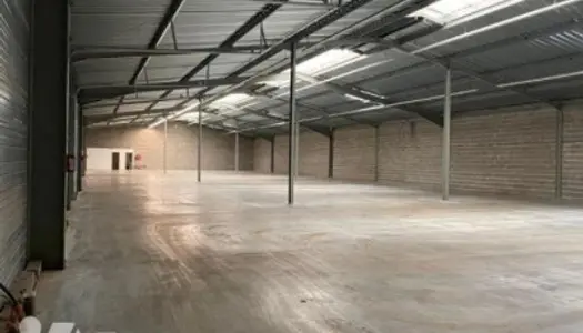 Local commercial 1320 m² 