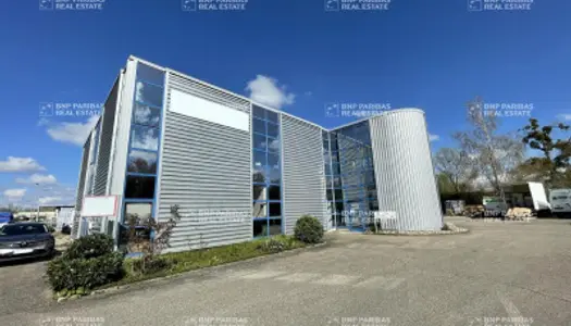 Local commercial 1250 m²