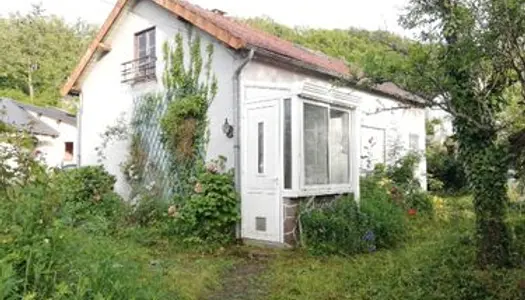 Maison à rénover avec jardin et garage 