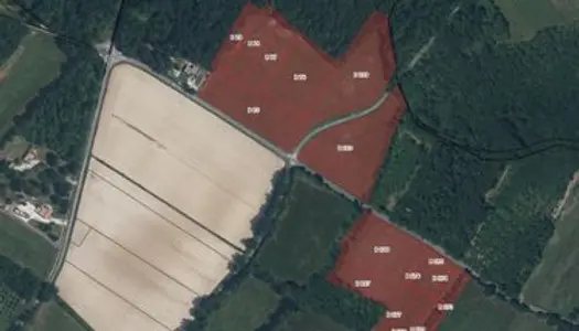 Vente terrain agricole, 5,41 ha à La Ville-Dieu-du-Temple (82) - 20 000 