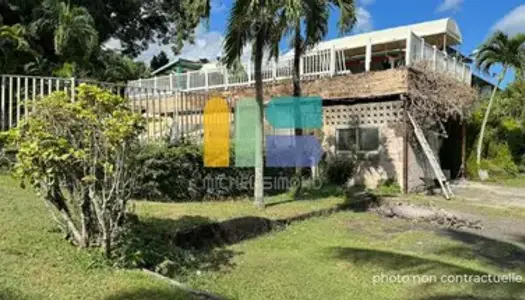 Guadeloupe Maison à vocation commerciale de 800 m² 