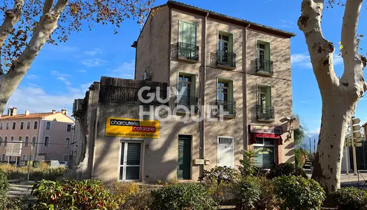 Vente Immeuble 200 m² à Ceret 299 500 €