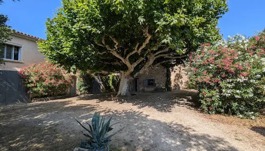 Mas provençal 8 pièces 450 m² 