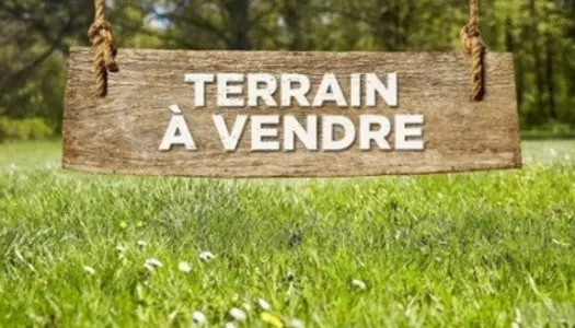 Terrain Vente Vitry-aux-Loges  6068m² 262500€