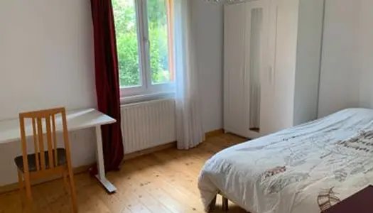 Chambre en colocation maison au Parc Wallach 