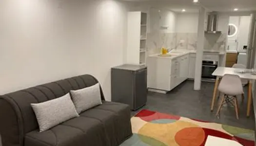 Studio meublé 30 m2 neuf, libre de suite 