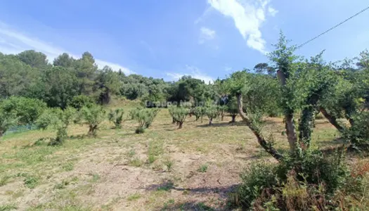 Terrain 1000 m² 