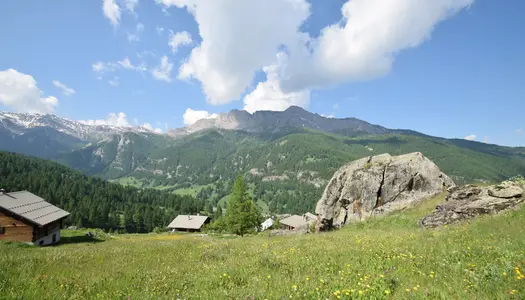 Dpt Hautes Alpes (05), à vendre MOLINES EN QUEYRAS à Pierre Grosse