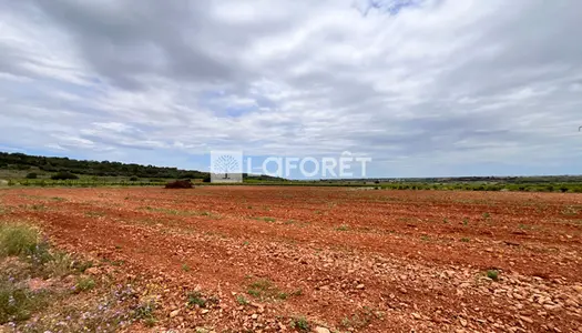 Vente Terrain Baixas