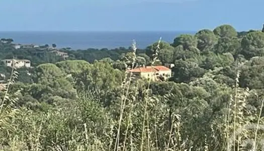 Terrain 1 969 m² Porto Vecchio 