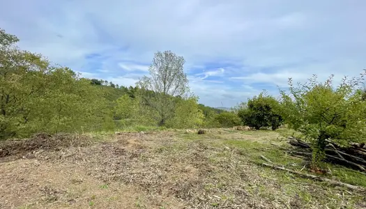 Vente Terrain 1030 m² à Saint-Gély-du-Fesc 263 940 €