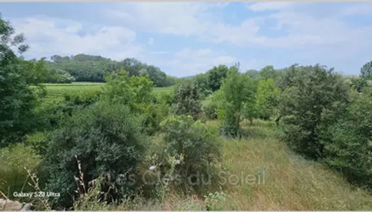 TERRAIN AGRICOLE PLAT DE 1000 M2 ENVIRON PROCHE DU VILLAGE DE 