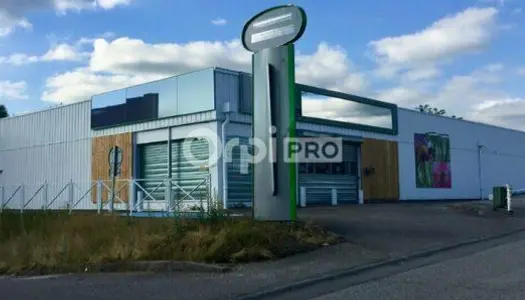 Local commercial 900 m² 