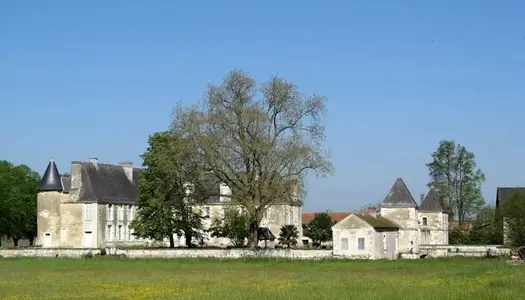 Château 21 pièces 610 m² 