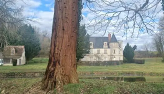 Château XV eme siècle près de Loches 