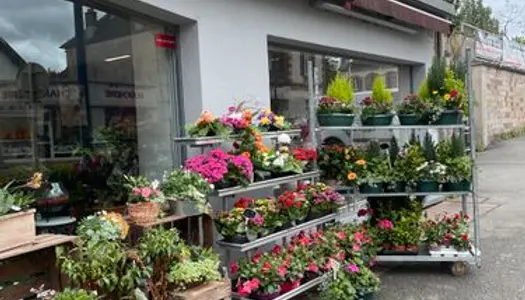 Vende magasin de fleurs 
