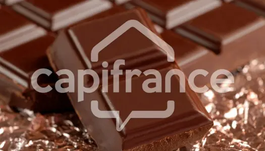 Dpt Charente (16), à vendre BARBEZIEUX SAINT HILAIRE Chocolaterie