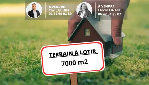 Terrain 7149 m²