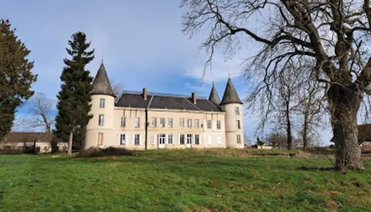 Château 20 pièces 634 m²