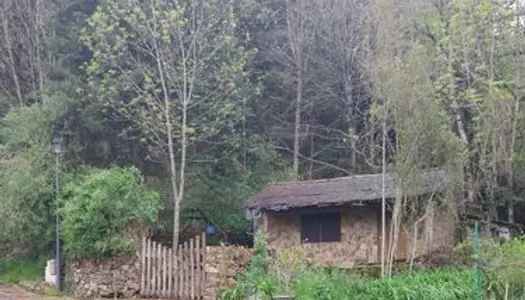 De particulier à particulier, à saisir, rare, Massevaques au coeur du parc national des Cévennes 