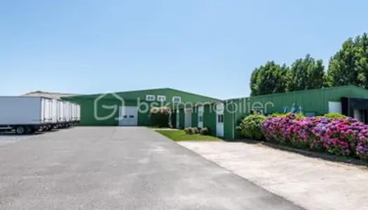 Local industriel 780 m² 