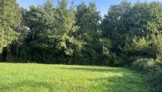 Terrain 730 m² Targon