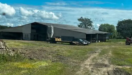Hangar agricole 1000 m2 