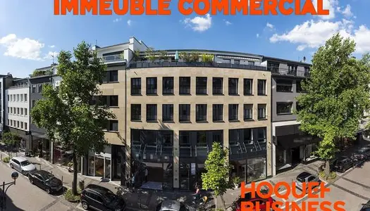 Immeuble de rapport 610 m² 