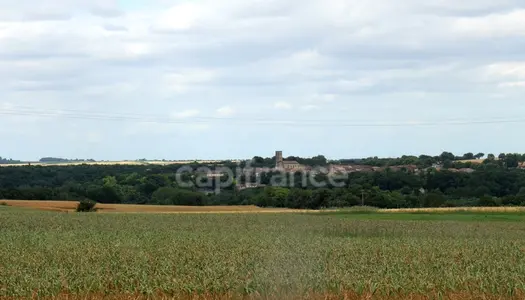 Terrain Vente Fleurance  5000m² 57000€