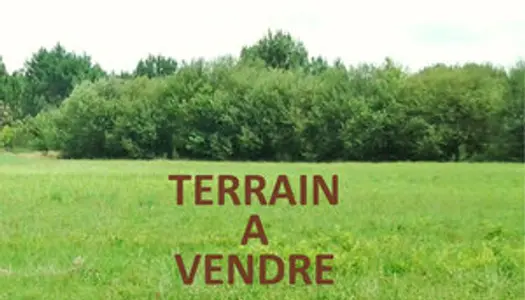 Terrain Vente Saint-Paul-en-Born  500m² 96300€