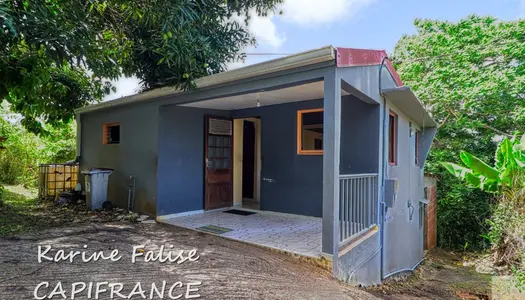 Dpt Martinique (972), à vendre SAINTE LUCE maison P3 de 49 m² - Terrain de 477,00 m² 