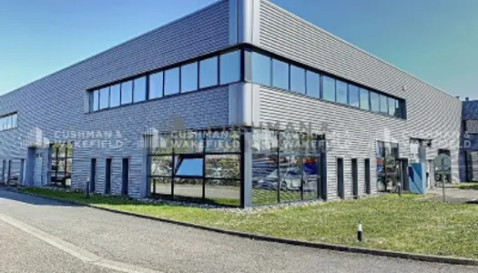 Bureaux 585 m² 