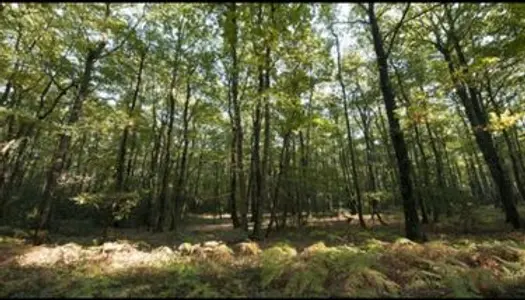 Terrain naturel/ forêt à 1h30 de Paris 