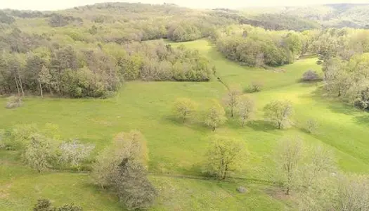 Parcelles de plus de 7 Hectares de prairies et boi 