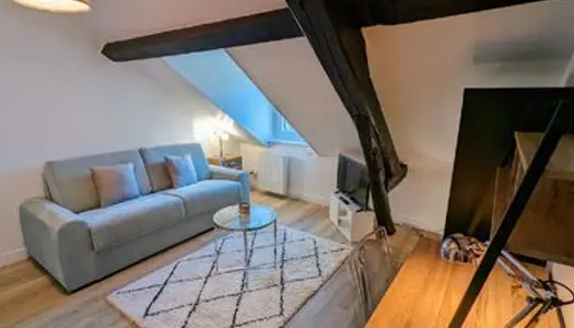 Appartement 21m2, entièrement meublé et équipé de standing 