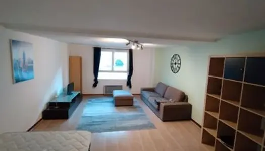 Appartement Location Thann 1p 42m² 425€