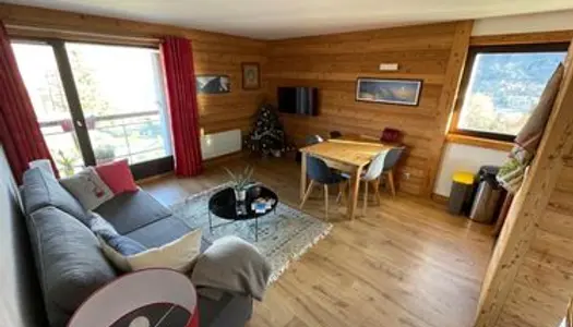 Superbe 2 pièces 44m2 ambiance chalet 