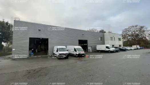 Local commercial 1474 m²