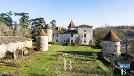 MAGNIFIQUE CHATEAU MEDIEVAL ET RENAISSANCE DANS LE GERS, SUR 208 HECTARES