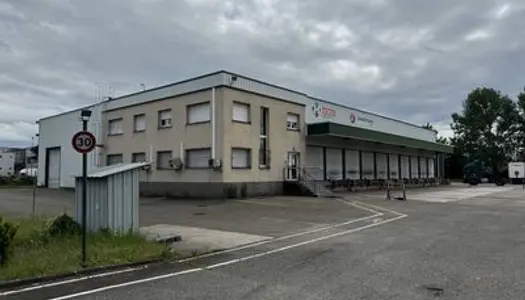 Locaux d'Activités - A LOUER - 1 595 m² non divisibles 