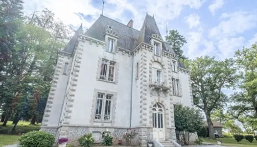 SAINT LEONARD DE NOBLAT : château de 20 pièces (600 m²) en vente 