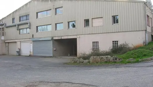 Local commercial 352 m² 