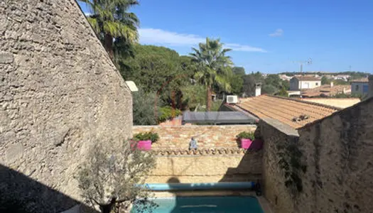 Maison vigneronne en pierre avec piscine chauffée