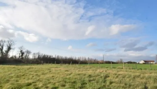 (V6543) Terrain de 1715 m2 à CHEMILLY-SUR-YONNE