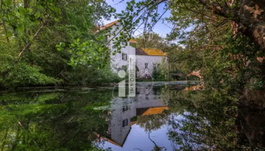 PROCHE FONTAINEBLEAU - GREZ SUR LOING - MOULIN 382 M2 et LON 