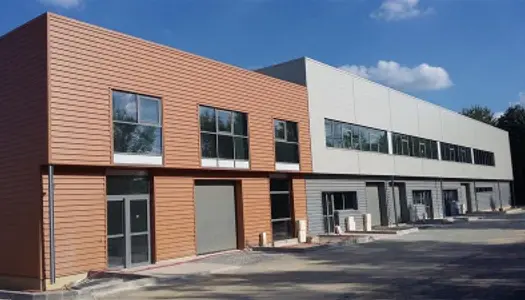 Local commercial 335 m² 