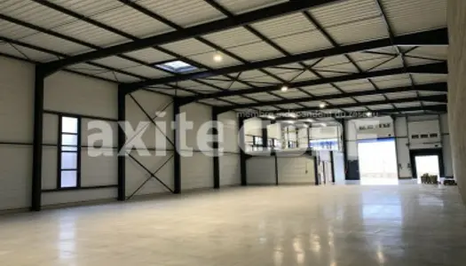 Local commercial 945 m² 