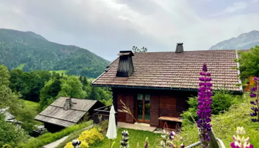 SUPERBE CHALET SUR LES HAUTEURS DE SAINT JEAN DE SIXT 