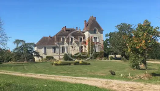 Château 14 pièces 320 m²