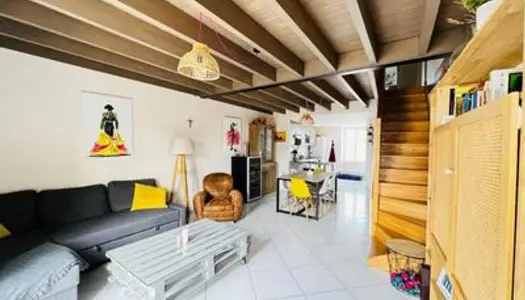 Appartement en duplex - Vue sur les Monts du Lyonnais 🏔️☀️